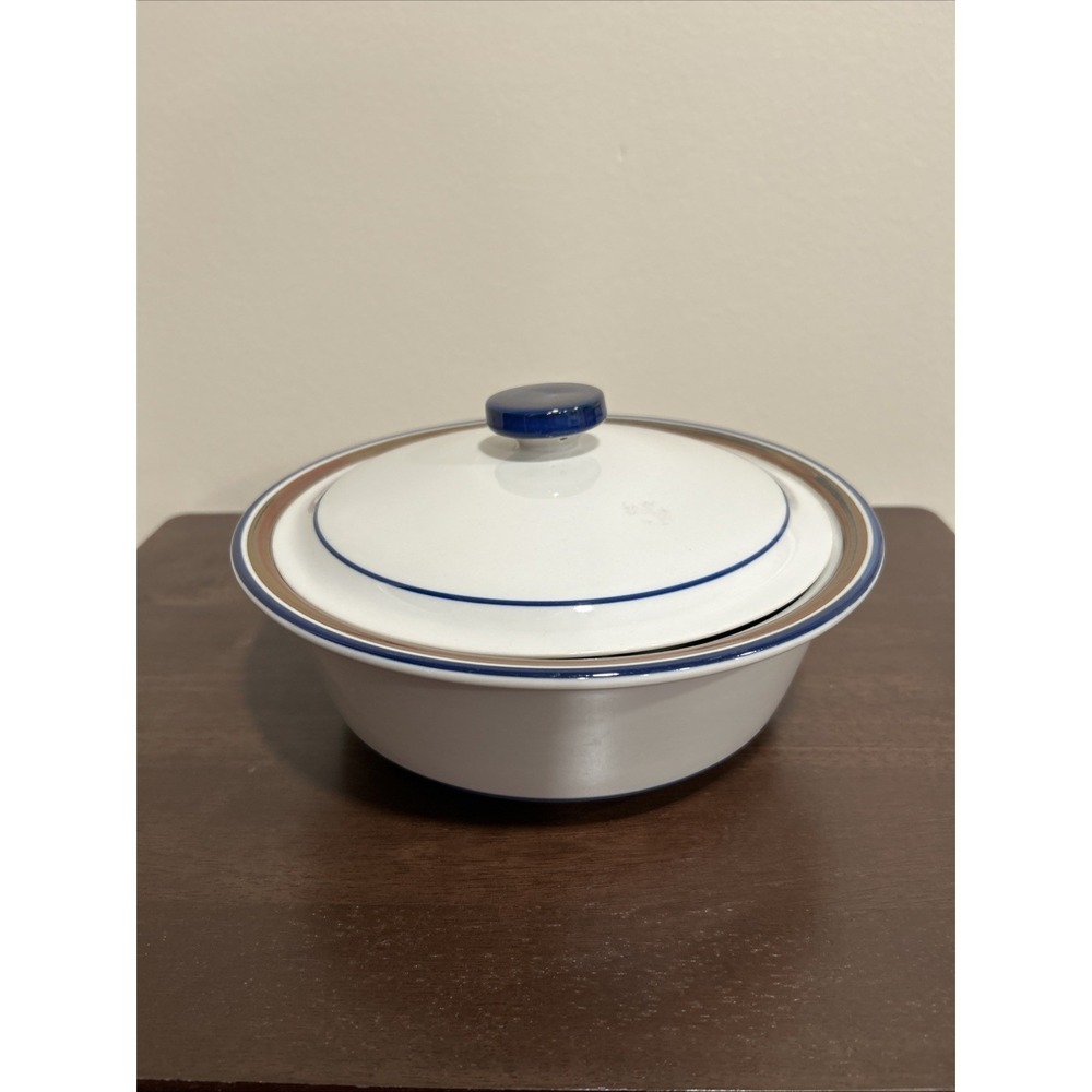 salem stoneware Casserole Lidded‎ Dish Blue